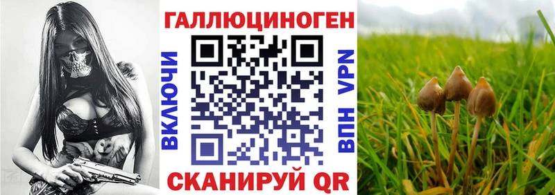 Галлюциногенные грибы мицелий  Староминская 
